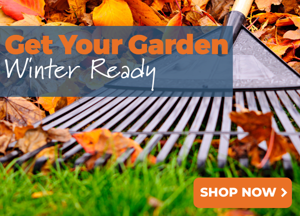 Get Your Garden Winter Ready